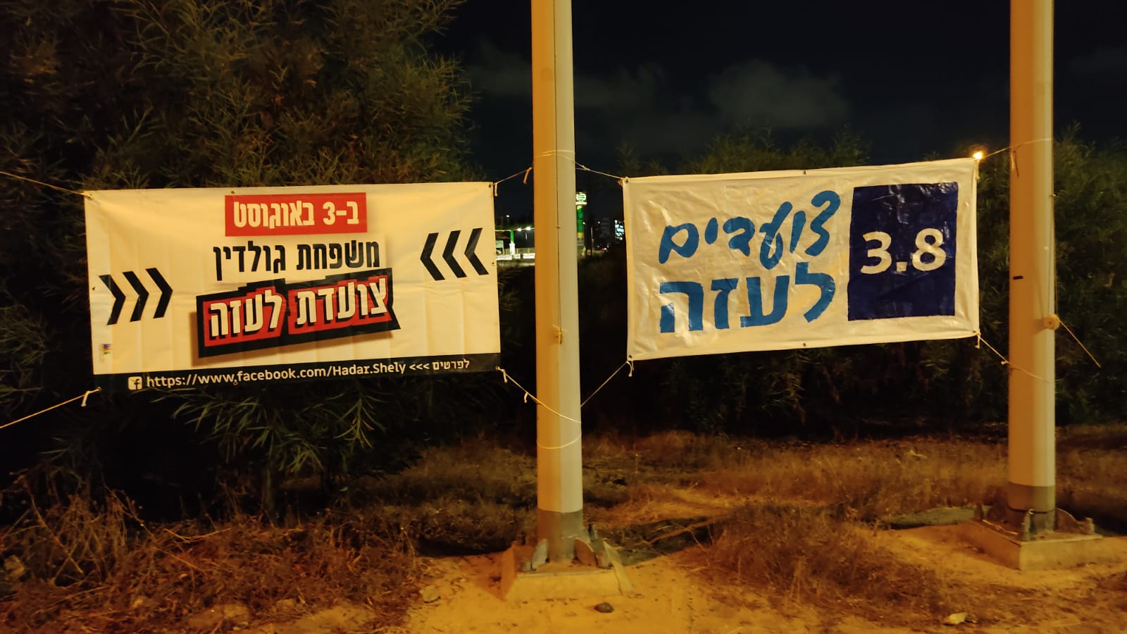 משפחת גולדין